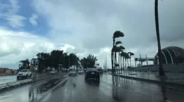 توقعات الطقس غدًا الأحد مع أتربة ورذاذ خفيف في بعض المناطق